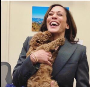 Ana Navarro Instagram - I mean, come on! No better judges of character than dogs - believe me, if @chacha_cardenas loves you, you are good people. ❤️❤️❤️