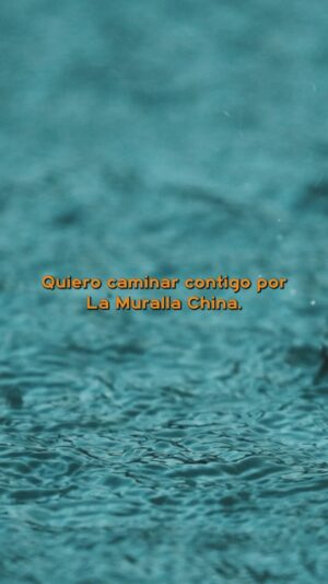 Ana Tijoux Instagram - Si te caes te levanto, si tu lloras yo te abrazo, si te pierdes yo te aguanto, si me cantas yo te canto.🧡

Hace falta más amor y empatía. Viene mucha música linda y aquí Polos Opuestos junto a @anatijoux ¿Ya la dedicaste?😁