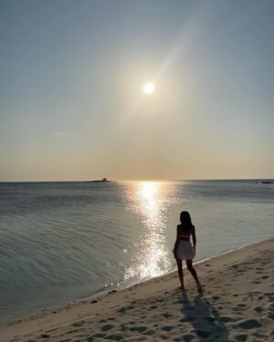 Ana de Armas Instagram - ☀️🐚🤿🐠🦀🪼🧡