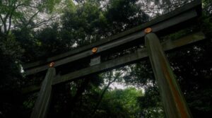 André Pilli Instagram - O Japão foi o lugar que me fez querer voltar a ser quem eu era, mas sem deixar de ser quem eu me tornei. 

Essa viagem foi a realização de um sonho. Nesses projetos, não há orçamento ou cliente. Somos duas pessoas viajando com uma câmera na mão... mas com uma história para contar. E isso é mais do que o suficiente, sempre vai ser. Quero agradecer a @anna.mendesc , que foi pessoa que me deu a oportunidade de enxergar histórias por trás de conteúdos. Obrigado pelas suas cores que carregam meus sentimentos.

Ao meu fiel amigo, que está por trás do design e da estética de tudo que eu faço @gabrielseeds , um dia quero retribuir tudo que fez por mim. 

Ao que me permite chegar em mais e mais pessoas através de suas estratégias geniais, obrigado por me ensinar todos os dias @camilocoutinho . 

E ao @lopes.altamiro por sua tenacidade e versatilidade, por legendar o conteúdo e fazer com que nosso trabalho chegue a outros países. 

Pillitrip Japão está no ar, o primeiro capítulo de um novo livro. 

Espero que gostem ❤️