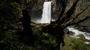 André Pilli Instagram - O Japão foi o lugar que me fez querer voltar a ser quem eu era, mas sem deixar de ser quem eu me tornei. 

Essa viagem foi a realização de um sonho. Nesses projetos, não há orçamento ou cliente. Somos duas pessoas viajando com uma câmera na mão... mas com uma história para contar. E isso é mais do que o suficiente, sempre vai ser. Quero agradecer a @anna.mendesc , que foi pessoa que me deu a oportunidade de enxergar histórias por trás de conteúdos. Obrigado pelas suas cores que carregam meus sentimentos.

Ao meu fiel amigo, que está por trás do design e da estética de tudo que eu faço @gabrielseeds , um dia quero retribuir tudo que fez por mim. 

Ao que me permite chegar em mais e mais pessoas através de suas estratégias geniais, obrigado por me ensinar todos os dias @camilocoutinho . 

E ao @lopes.altamiro por sua tenacidade e versatilidade, por legendar o conteúdo e fazer com que nosso trabalho chegue a outros países. 

Pillitrip Japão está no ar, o primeiro capítulo de um novo livro. 

Espero que gostem ❤️