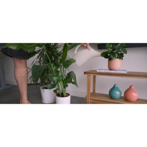 André Pilli Instagram - frames - day in the life - color graded com o Z27x da @hpbrasil