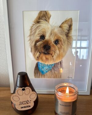 Andrea Tessa Instagram - Tres meses, mi Patancito. Tres meses en que nuestro contacto ya no es físico, sino a través de los recuerdos, del corazón. Mi perrito compañero, mandón, bueno para el frisbee. Todos te echan de menos, los perritos vecinos que te hacían fiesta al verte, mi familia, mis amigos. Dejaste una huella inmensa de amor a prueba de todo. Ahora ya puedo mirar tus fotos y vídeos sin quebrarme, con el tiempo he logrado hablar de ti, de a poco se ha ido disolviendo el nudo en la garganta que no me dejaba decir palabra, menos cantar. Ahora logro sonreír, hasta reírme recordándote. Todos me dicen que busque un perrito, será cuando tenga que ser, cuando lo sienta en mi corazón. Te adoro, mi @patantessa ♥️