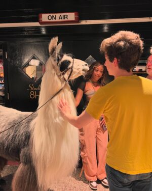 Andrew Barth Feldman Instagram - SATURDAY NIGHT is the name of the movie
THIS LLAMA is in it
I am also in it
OCTOBER 11 is when it comes out
in THEATERS is where
and LOVE IT VERY MUCH is what you are going to do
@satnightmovie