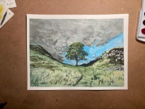 Andrew Peterson Instagram - I painted this from a photo I took of the tree at Sycamore Gap along Hadrian’s Wall. It was, truly, one of the most beautifully situated trees I’ve ever seen. So thankful I got to behold it in person before a vandal cut it down last month.