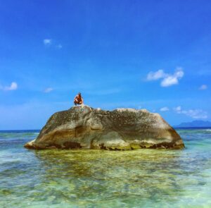 Andrey Minin Instagram - Залез на каменного слона. День...не помню какой день.  #nature #seychelles #farfromhome