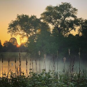 Andy Puddicombe Instagram - Early morning run #hydepark 🌅