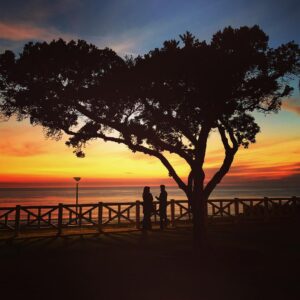 Andy Puddicombe Instagram - The sun going down on 2017...
Not allowing the past year to ruffle us, or the year ahead to distract us, we sit and appreciate each passing moment, still, quiet, present in the world. Wishing you many of these moments in the year ahead ✌️❤️#happynewyear2018