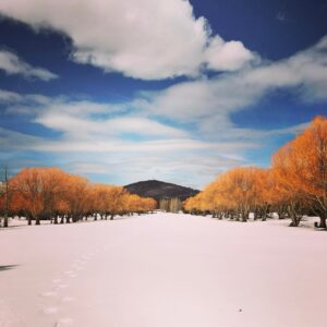Andy Puddicombe Instagram - #parkcity