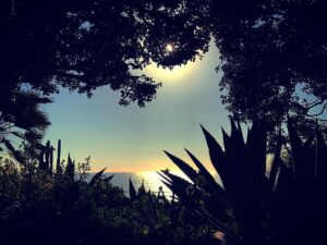 Andy Puddicombe Instagram - What we choose to call the indescribable nature of mind is not so important. The important thing is to move beyond words, beyond concepts, and rest in the essence of that nature. 
#tbt #everydayheadspace quote writing in beautiful #Encinitas 🧡
