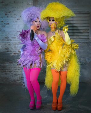 Anetra Instagram - Introducing Anetra Wind!!!! 💨 
Quack quack bish 🦆

Bird looks by @twiggy.moore 
Beaks by @li_yushen_1983 
Photography @marco_ovando 
Movement @willylaury
Hair @linc.hair