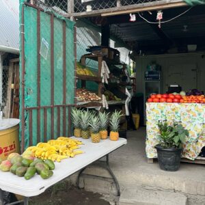 Anna Castillo Instagram - Ya paro con Panamá, unas poquitas fotos de yo, una serpiente 💙 y tienditas 🍎🍍