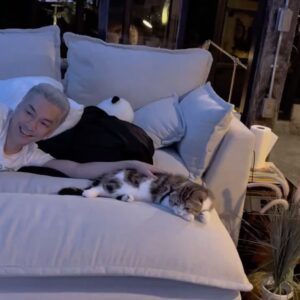 Anon Saisangcharn Instagram - สันหลังยาวกันทั้งบ้านเลยยยย🐈‍⬛👴🐈