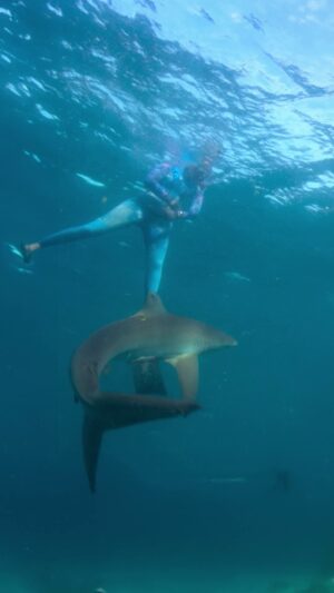 Anthony Mackie Instagram - Swimming with sharks? Nothing that @anthonymackie isn't willing to try. Watch #SharkBeachWithAnthonyMackie as part of the continuing #Sharkfest event on National Geographic, streaming now on @DisneyPlus and @hulu.