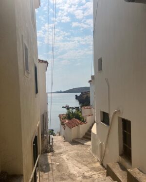 Antonio Cipriano Instagram - this crispy little chicken went to greece :)
