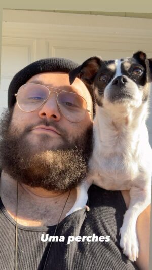 Ari Stidham Instagram - queen on her perch

#dog #perched #cutedog