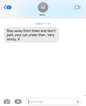 Ash Williams Instagram - Make sure you subscribe to my Mum’s SMS wind alerts. #VeryWindy
