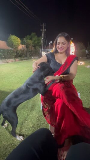 Ashwini Sree Instagram - Dog lover🥰😘 

#dogsofinstagram #dog #dogsofmathias777 #doglover #mathiaslovedogs #doglovers #doglife #smile #dimple #party #fun #trendingreels #trending #reelsinstagram #recent4recent #tflers #fyp #photooftheday #photography #explore #bigboss #bigboss7