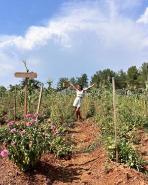 Aslı Tandoğan Instagram - Geçen hafta öyle güzel bir gün geçirdik ki!
@barbarosfarm ‘ın Ata tohumlarından yetiştirilmiş bostanından yiyeceğimiz sebzeleri topladık,çam ağaçlarının altında tertemiz havanın içinde soframız bostandan toplanan ürünler ve uzun zamandır yediğim en güzel pizza ile kuruluydu…🌲🍅🦚 

#reklam mecburen yazmalıyım