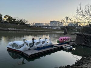 Atsushi Horie Instagram - 岡山城🏯🚃🌸🦢🍑🌉
#夕景プロジェクト
