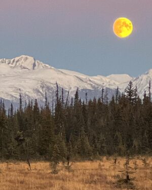 Atz Lee Kilcher Instagram - Study of the moon. Or rather, I took some pics while Out and about. Anyhoo, enjoy. 
#moon #Alaska #artsy #earthy #tasty #cheese