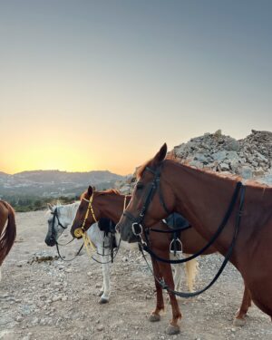 Aylin Engör Instagram - 🐎🌟Özgürlüğün ve gücün bu muhteşem hissiyatını yaşamak inanılmazdı. Hemen ders almaya karar verdim😍😍#atbinme #özgürlük