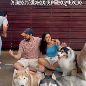 Ayushi Khurana Instagram - Husky ♥️