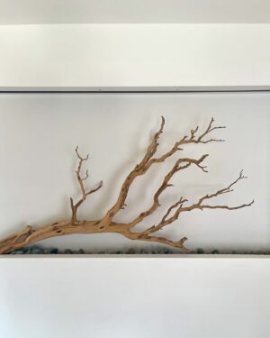 BabyJohn Choi Instagram - 2024 ，人生第一次踏入韓國。
潮流嘅野，我見識多咗一條鐵。

P.s. 找了7天手沖，原來潮流興americano