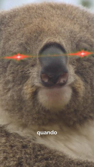 Barbascura X Instagram - Non guarderete mai più Jurassic Park con gli stessi occhi.
#barbascurax #jurassicpark #koala