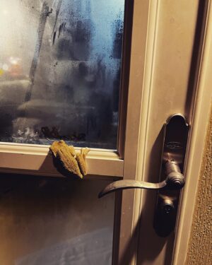 Barry Kerch Instagram - This is Fred.  He’s been hanging out on my back porch for 3 years now.  He says hi and keeps the bug population in check.  I like Fred. 

Yes I know he’s invasive but the battle has been lost. 

#shinedown #campaignagainstnegativity #frogs #nature #florida #swamplife