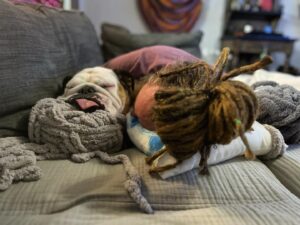 Barry Kerch Instagram - Jellybean and I just snuggling!  #Shinedown #campaignagainstnegativity #englishbulldog