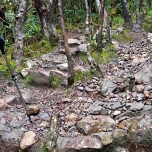 Beby Chaesara Instagram - Jaka Sembung naik gunung..
Lah, sama dung.