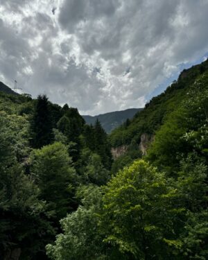 Belgin Şimşek Instagram - Seviyorum 🍀🌳🌿