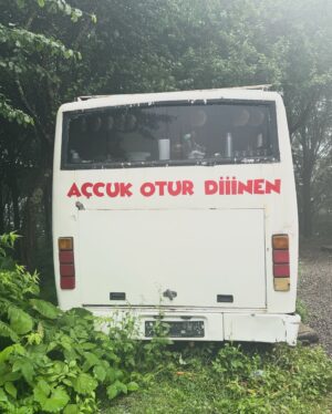 Belgin Şimşek Instagram - Çiğ yağıyor 🐛🍀