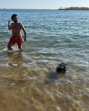 Bellamy Young Instagram - At some point, I turned into a beach person. 😂🤯🤷🏻‍♀️ We both did. 🐶🥰😄
(@pedrosegundoofficial was just waiting for us to catch up. 😎) 
Hope whatever you're up to today, it's making you smile too. Much love to everybody! 💗🏖️❤️