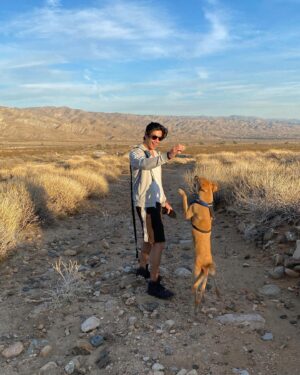 Ben Levin Instagram - stray from the pack
stay on the path