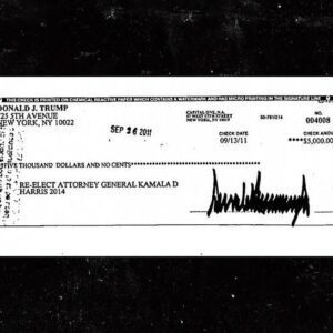 Ben McKenzie Instagram - Just like @realdonaldtrump did in 2011, I’ve donated to @kamalaharris. A former prosecutor runs against a convicted felon. Personally, I’m a law and order guy myself. And I’m worried about senility. Did you know Trump is the oldest nominee for president in history? 🤣🤣🤣
