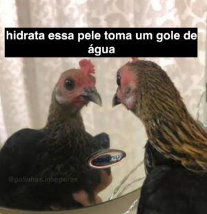 Benjamin Damini Instagram - dump de abril y março y fevereiro pq eu perdi as datas 🤪 mas antes tarde do que nunca né? 

1. quinquagésimo segundo benversário
2/3. quem te vê quem te viu
4. primeira marsha transmasculina de sp
5. camuflagem de alto nível
6. isso configura acidente de trabalho?
7. primeira audiência estadual sobre transmasculinidades
8/9. galinhas inseguras y desidratadas
10. banho de mangueira na lua crescente despedida de verão