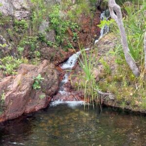 Benjamin Law Instagram - Man, everyone who lives in Darwin has the right idea. 

📍Litchfield National Park