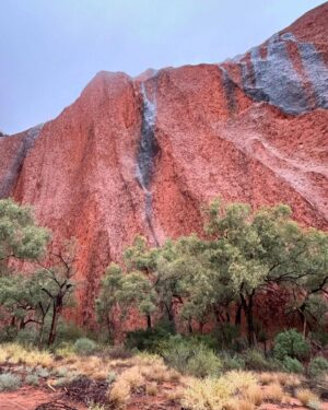 Benjamin Law Instagram - 24 HOURS IN ULUṞU

Shot this lil’ segment in beautiful Aṉangu Country after a rare evening of rain. It meant we could see the true black shade of the monolith under its red rust foundation, and how freshwater gathers at the base of the structure – which is taller than the Eiffel Tower, more ancient than the first dinosaurs and runs another 2.5km underneath.

Thanks to Uncle Sammy Wilson – son of Paddy Uluṟu! – for welcoming and handpicking bush tomatoes for us (an unexpectedly perfect mix of tomato and banana), and this dream team crew of the two Dans, Pariss, Bruno, Sarah and Toby. 

And, of course, icon Julia Zemiro who can do no wrong and for whom I would walk directly into peak hour traffic with my eyes closed if she asked. 

On yr TVs soon. Palya, peeps. ✌🏿✌️✌🏼