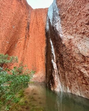 Benjamin Law Instagram - 24 HOURS IN ULUṞU

Shot this lil’ segment in beautiful Aṉangu Country after a rare evening of rain. It meant we could see the true black shade of the monolith under its red rust foundation, and how freshwater gathers at the base of the structure – which is taller than the Eiffel Tower, more ancient than the first dinosaurs and runs another 2.5km underneath.

Thanks to Uncle Sammy Wilson – son of Paddy Uluṟu! – for welcoming and handpicking bush tomatoes for us (an unexpectedly perfect mix of tomato and banana), and this dream team crew of the two Dans, Pariss, Bruno, Sarah and Toby. 

And, of course, icon Julia Zemiro who can do no wrong and for whom I would walk directly into peak hour traffic with my eyes closed if she asked. 

On yr TVs soon. Palya, peeps. ✌🏿✌️✌🏼