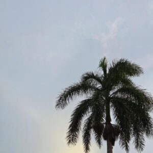Benjamin Machet Instagram - ✨ AVENTURE EN FAMILLE DANS LE YUCATAN ✨

Salut à tous ! 🌴 Nous voilà bien installés au cœur de la magnifique région du Yucatan, dans la charmante ville de Valladolid. Ce coin de paradis nous en met plein la vue avec ses couleurs vibrantes, son histoire riche et ses habitants chaleureux. 🤗

Après avoir exploré les rues pittoresques de cette ville coloniale, nous sommes prêts à reprendre la route pour notre prochaine étape : direction Holbox, une île paradisiaque où la nature règne en maître. 🏝️ Hâte de poser nos pieds dans le sable fin, de nous baigner dans les eaux turquoise et de nous laisser bercer par le rythme tranquille de la vie insulaire. 🌊

Mais avant ça, en route pour Rio Lagartos et Las Coloradas, ce site incroyable où les eaux roses des salines semblent sortir tout droit d’un rêve.

Ce road trip à travers le Yucatan est vraiment une aventure incroyable. Chaque instant est une découverte, et nous adorons partager ces moments avec vous. 💛

Restez connectés pour suivre nos péripéties mexicaines.

On espère qu'à travera nos stories et nos photos vous découvrez la beauté de mon pays.

En route pour la suite ! 🚗💨

#roadtrip #mexique #family #love #happy