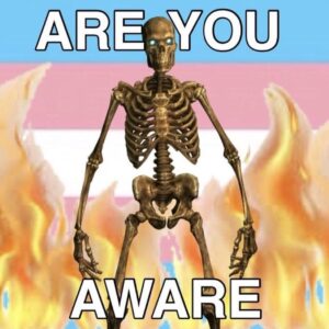 Bex Taylor-Klaus Instagram - this account is deteriorating into memes and i don’t know if im strong enough to stop it