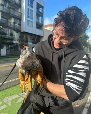 Bex Taylor-Klaus Instagram - today i met a dragon