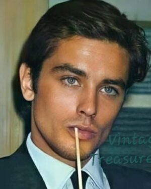 Bibiana Fernández Instagram - Mi mundo n desaparición, él quería irse así que buen viaje #alaindelon además de guapo tiene tras de sí una filmografía de escalofrío, rodó con los mejores del cine europeo títulos míticos 🥲 a pleno sol, Rocco y sus hermanos, Eclipse El gatopardo, El círculo rojo etc❤️‍🩹