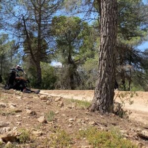 Bienve Aguado Alba Instagram - Feeling the bike the way I like it!

Long time no see 🤗 @lafenasosa