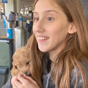 Bijan Ali Instagram - My Birthday Day Gift!! 
🐶 Ginger Amara Ali 🐶
.
.
.
.
#toypoodle
#ginger