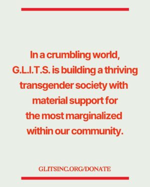 Bobbi Salvör Menuez Instagram - LINK IN BIO 💐
support @glits_inc 
support trans futures