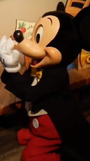 Brian Hull Instagram - Mickey Couldn’t Handle It! #disney #impressions #disneyland