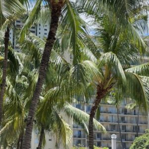 Brittan Byrd Instagram - last weeks venture to waikiki looked a little like this